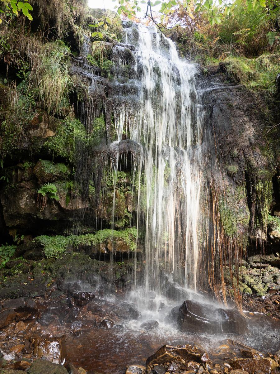 PA077581.jpg