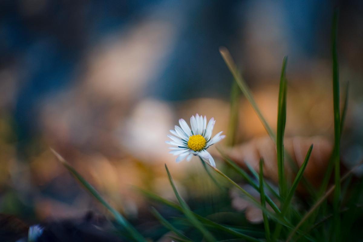 Proiectar_50mm_057.jpg