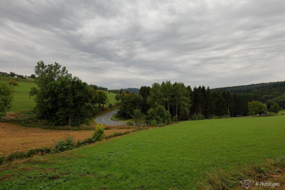 62A_5782.jpg