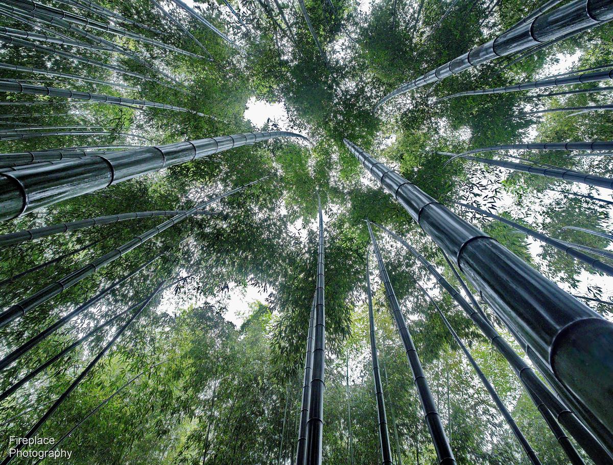 PC301456 smaller.JPG