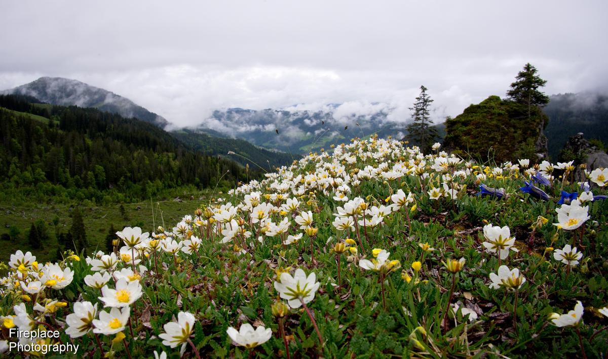 DSC_5879 smaller.JPG