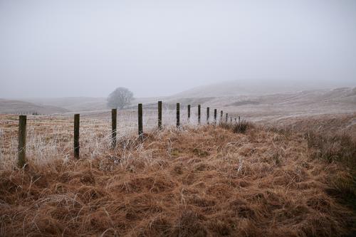 DSC_8930 1.jpg