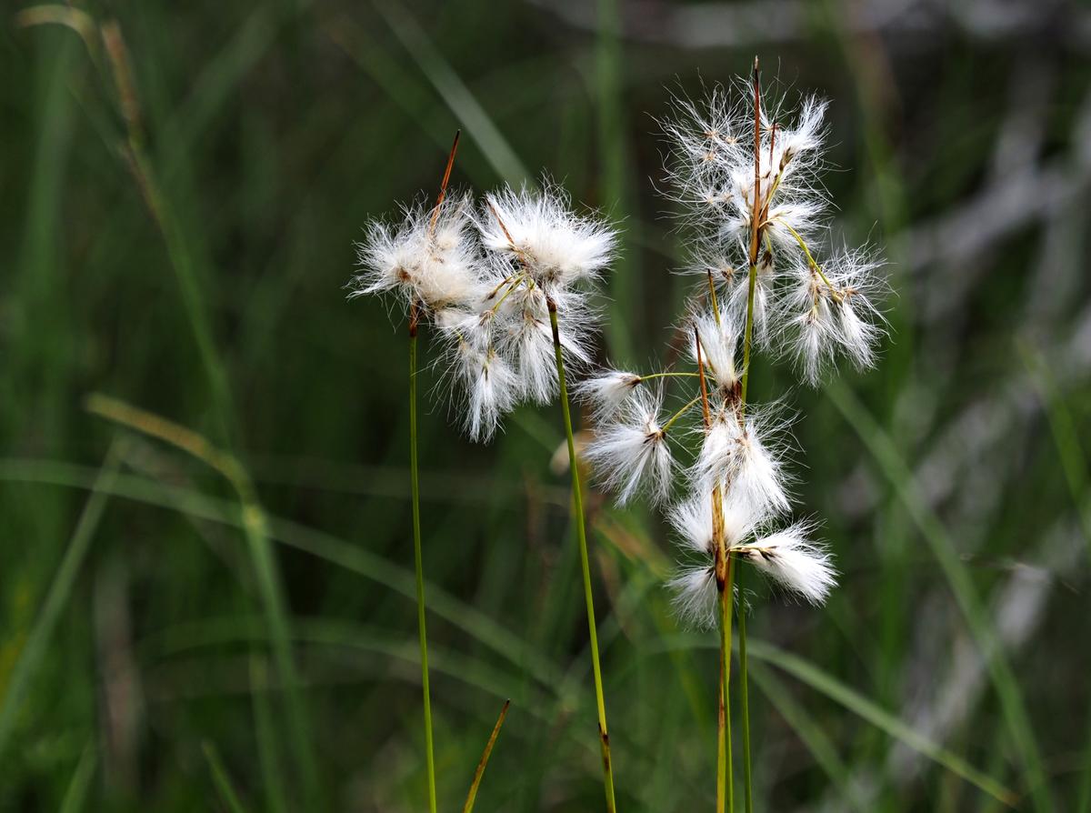 P6240018x.jpg