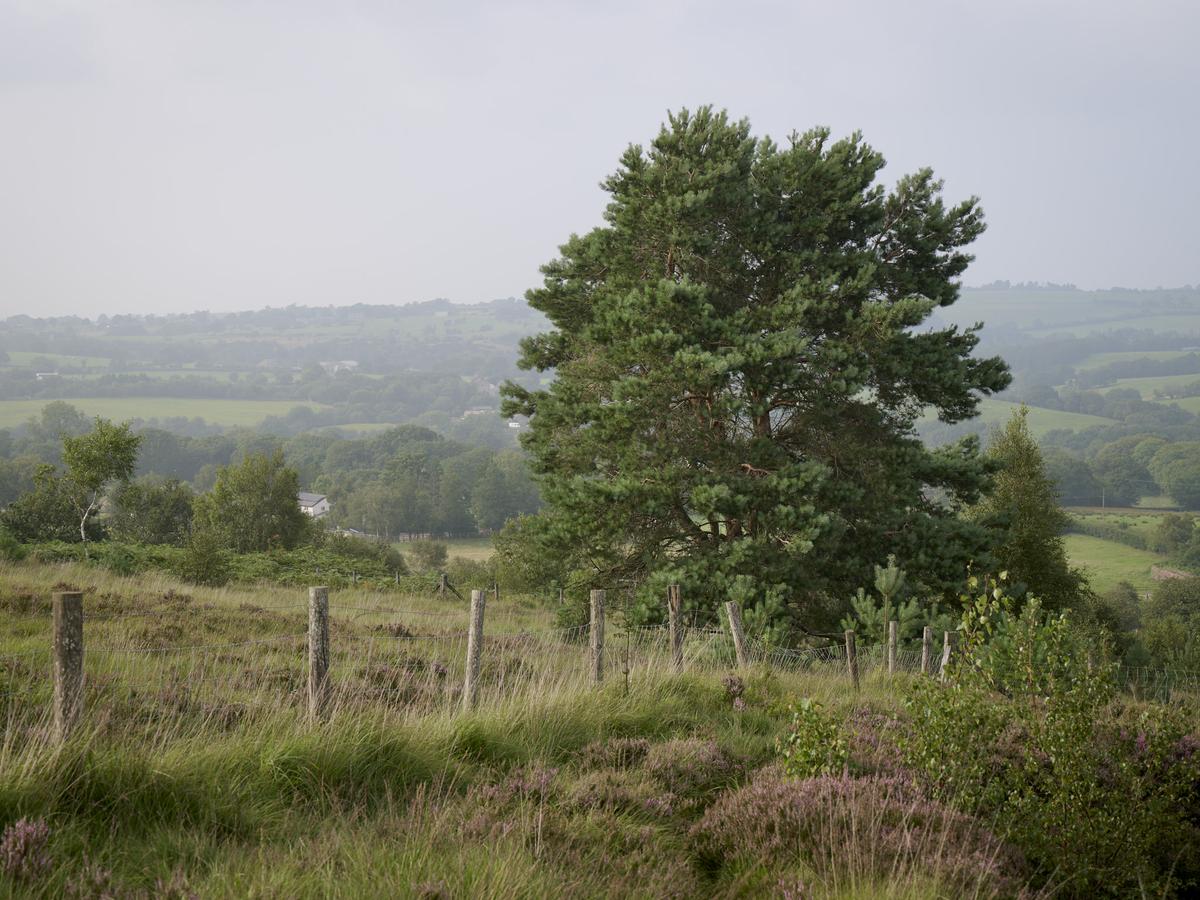 DSC_6142 1.jpg