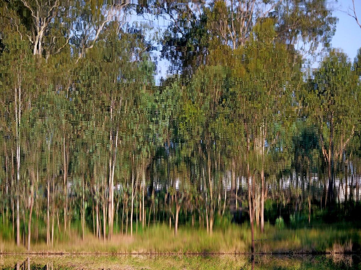P1335694b.JPG