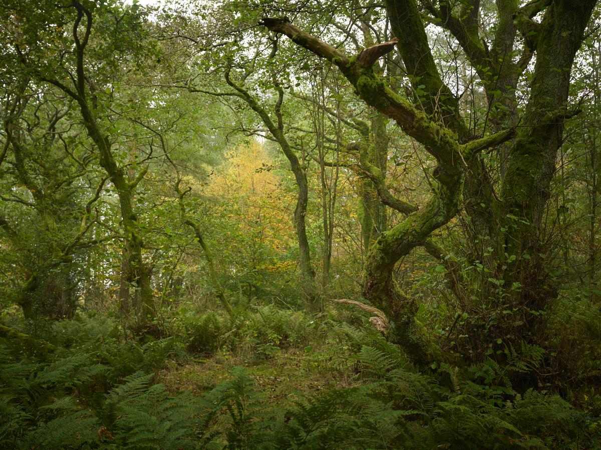 DSC_7972.jpg