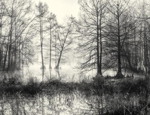 _1290096-Edit.jpg