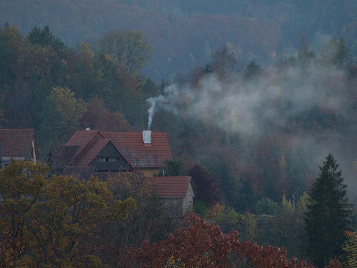 PB020165 - orignal d.JPG