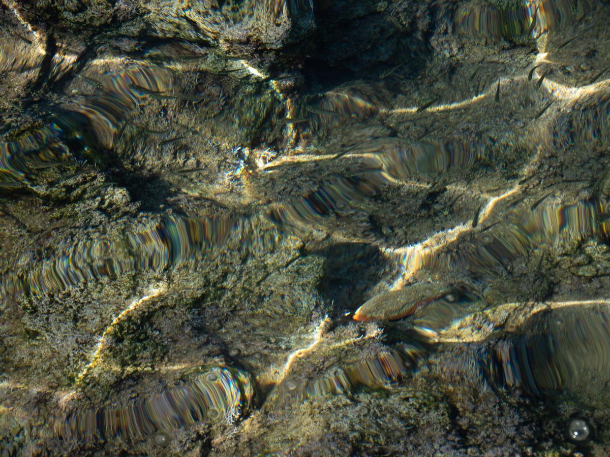 PA237750.jpg