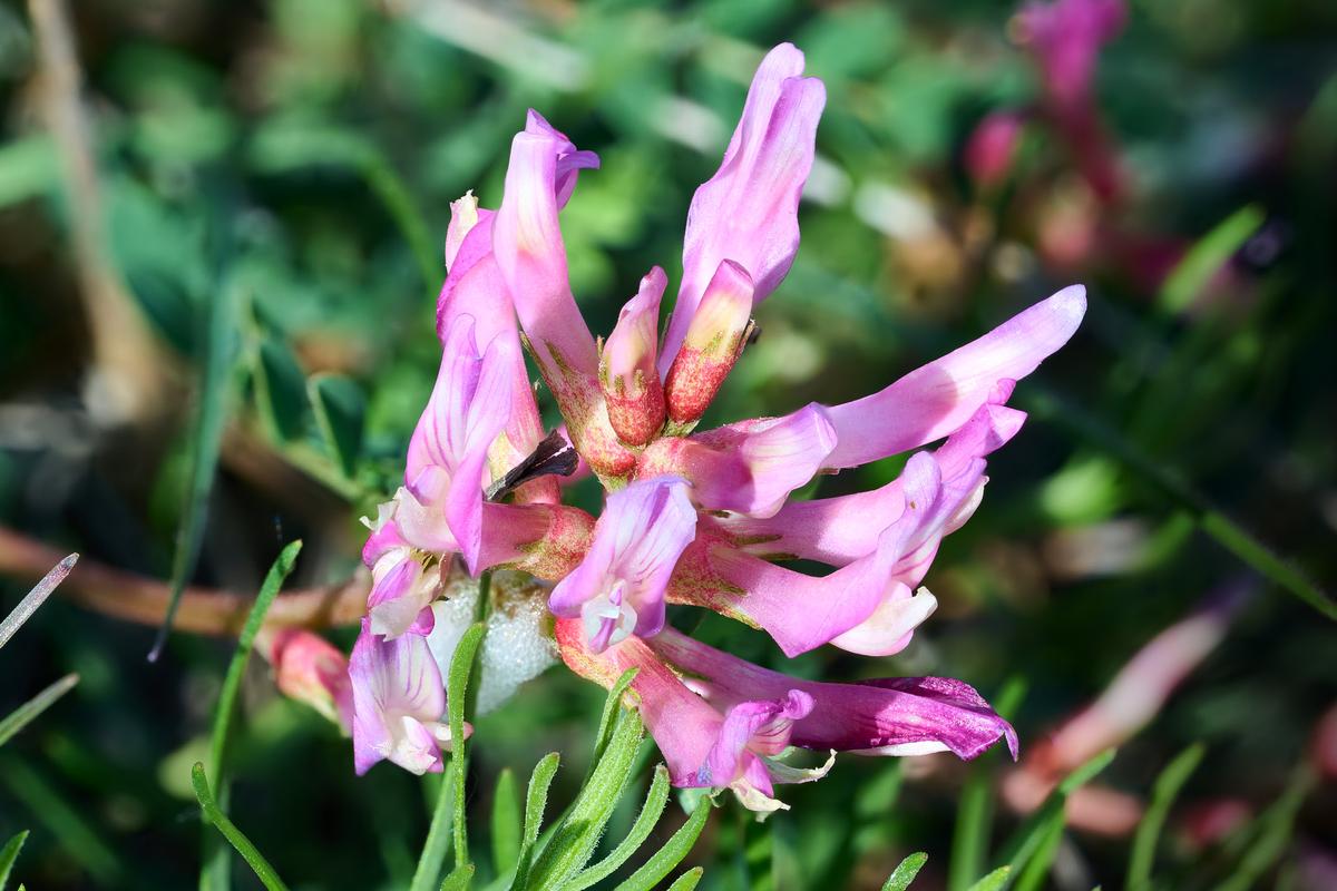 2026-04-18 19-05-46 (A,R8,S4)_1.jpg