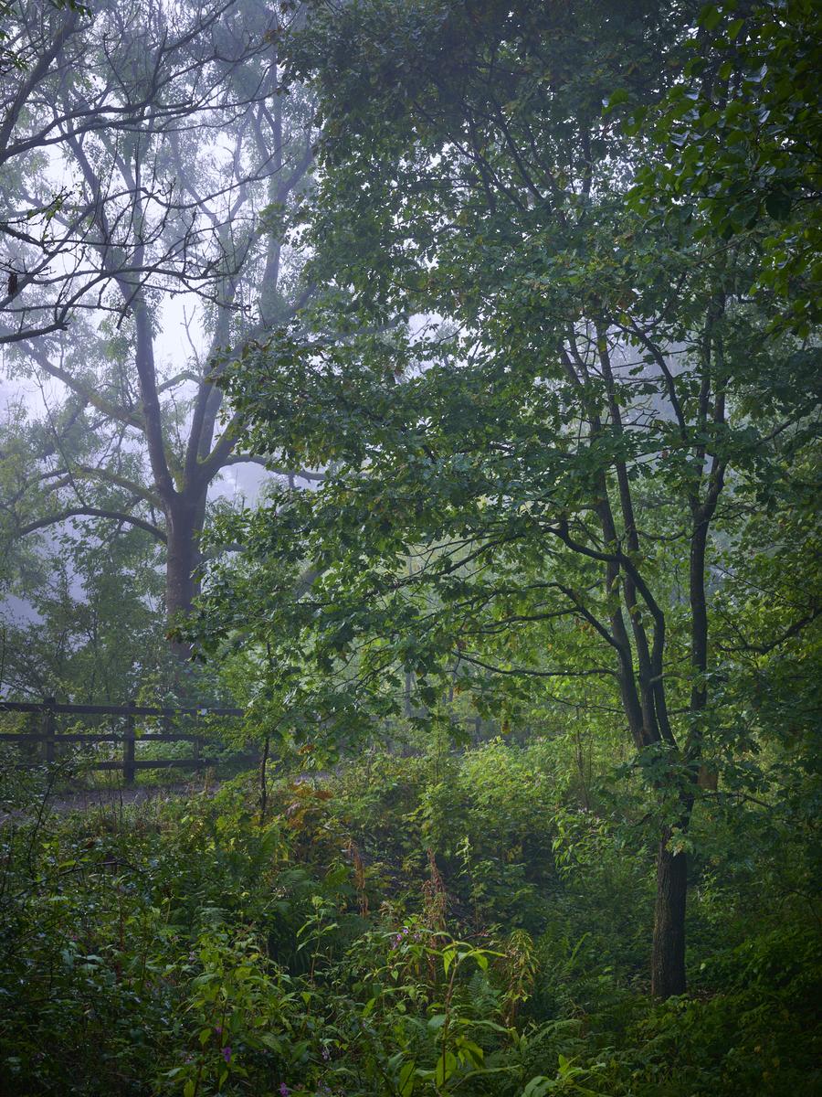DSC_7553.jpg