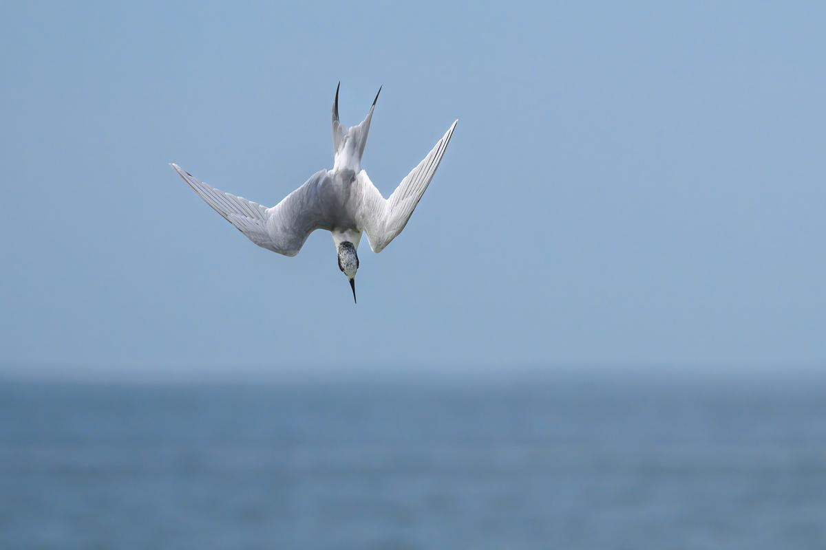 Vacation FM 2025-1943-Edit.jpg