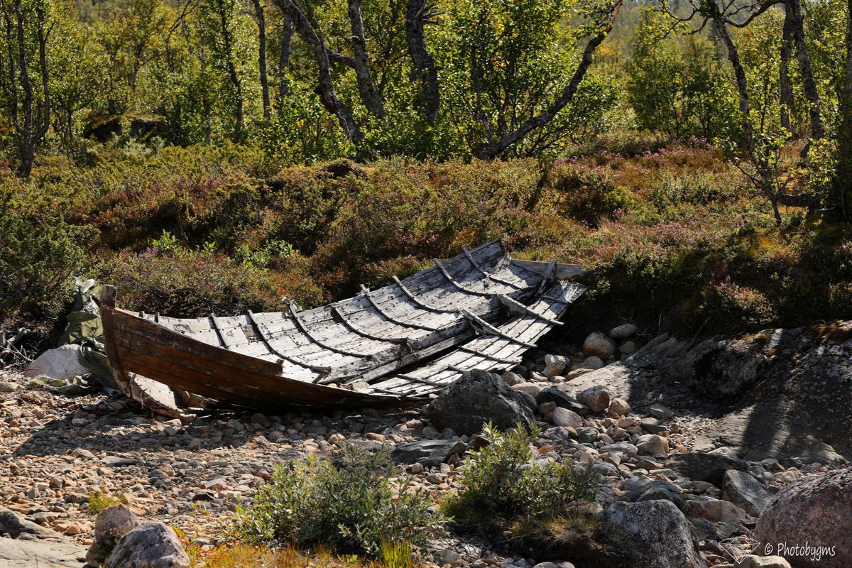 62A_9069.jpg