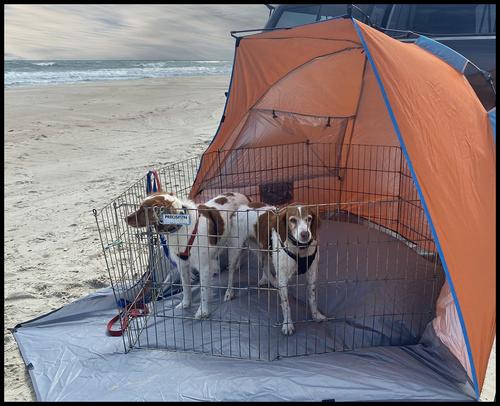 5-16-23 - Today's beach camp.jpg