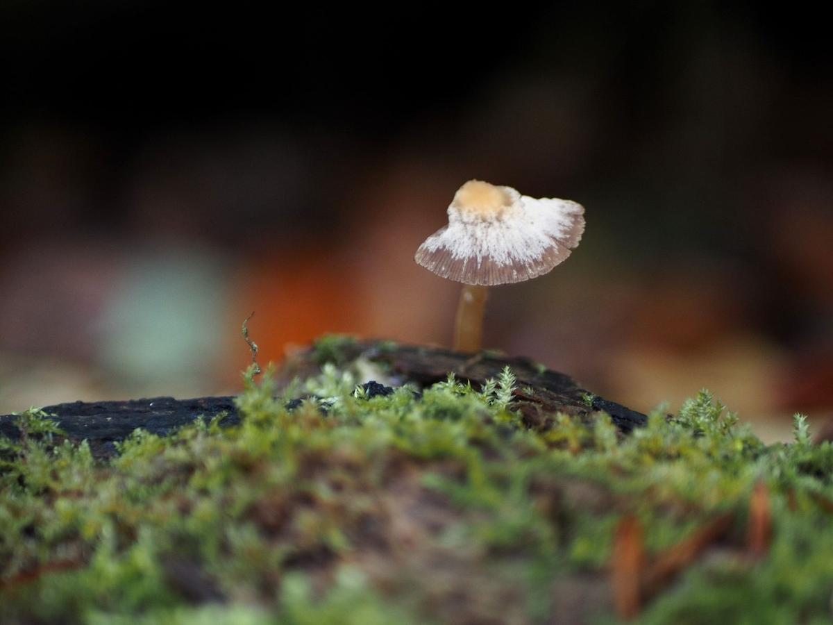 PA290105 - Copy_web.jpg