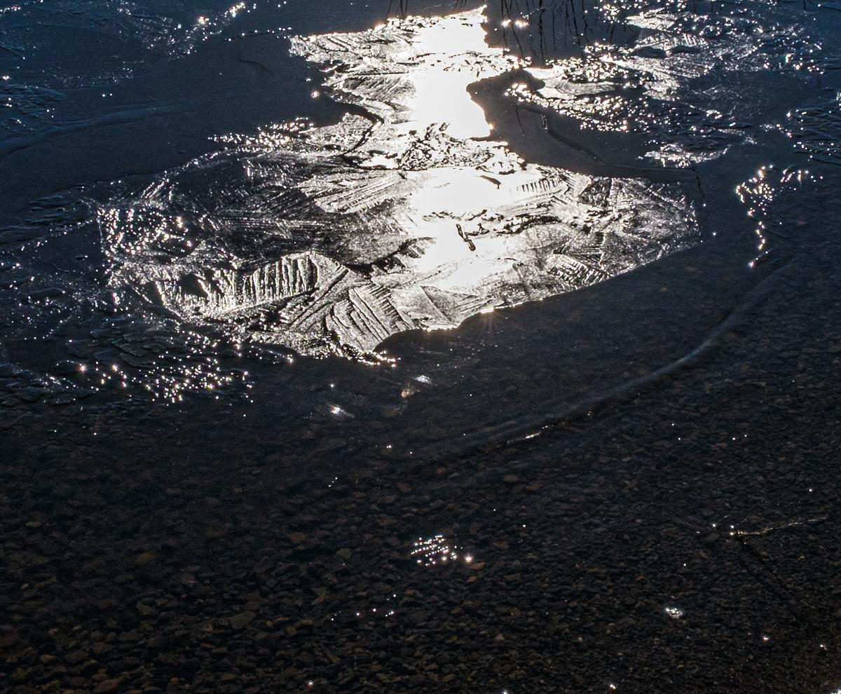 DJEF0321-1.jpg