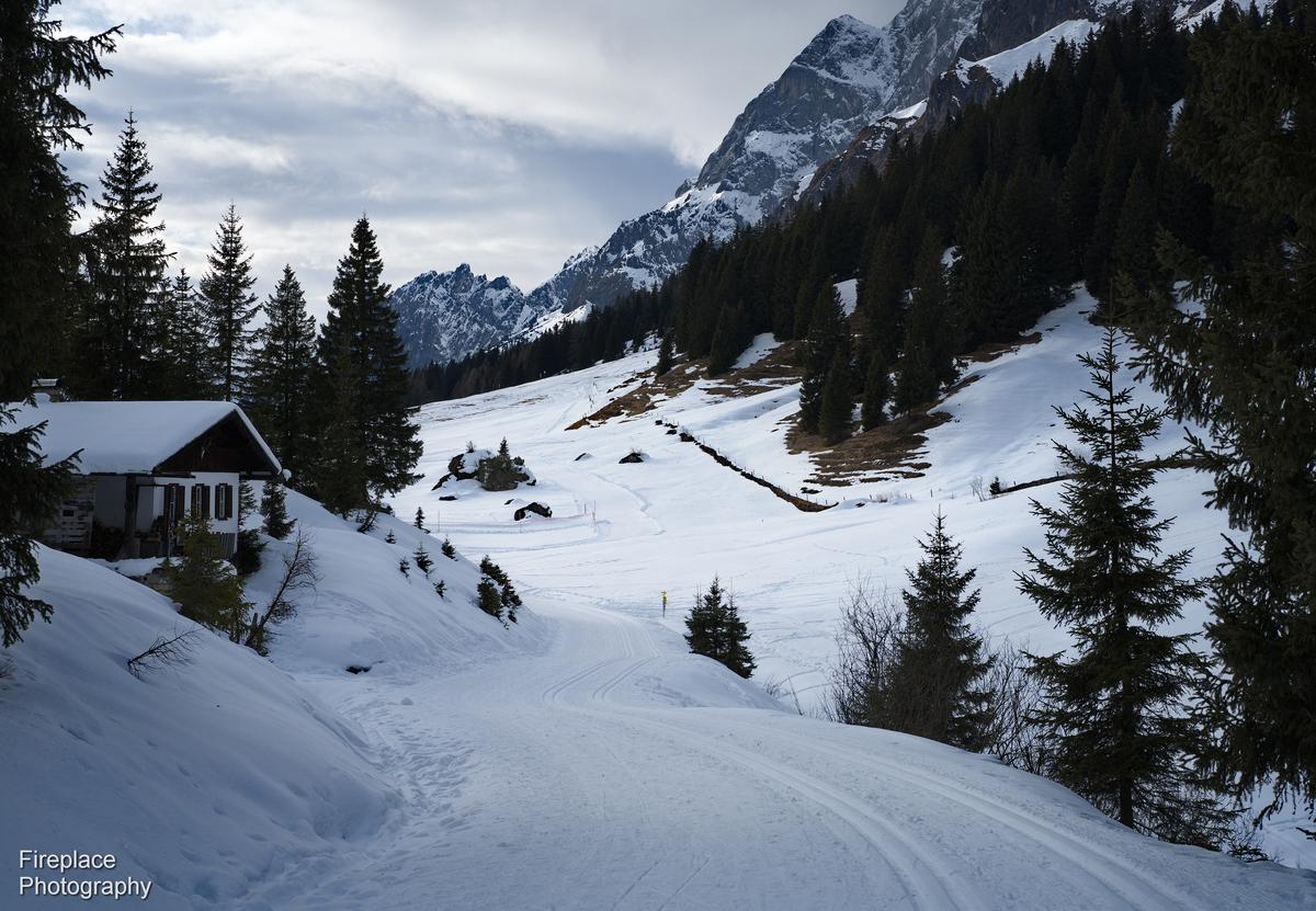 DSC_2593 smaller (2).JPG