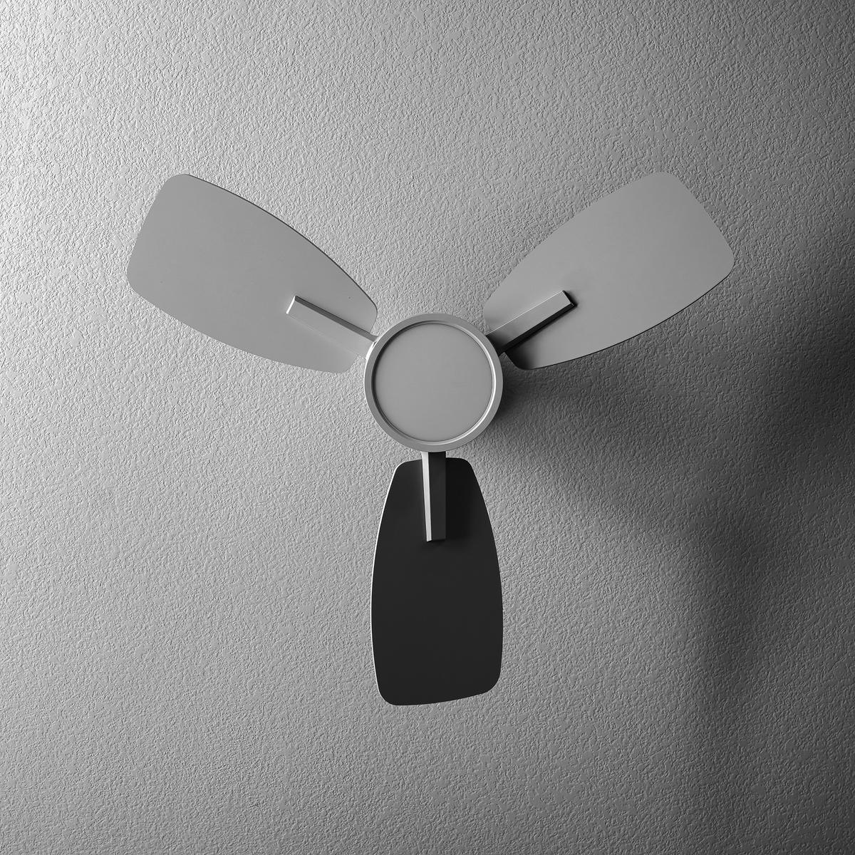 Fan.jpg