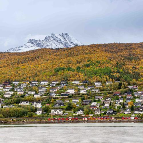 Norway Alesund Fjord 1 small (1 of 1).jpg