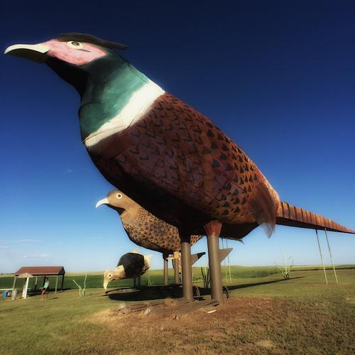 Pheasants on the Prairie.jpg