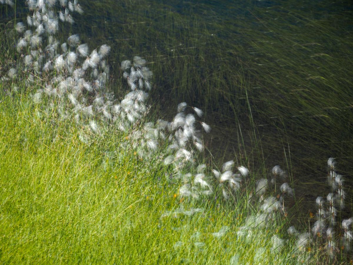 P7104692.jpg