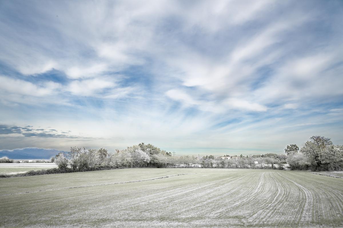 2025-10-25 16.06.05-3_Zf_DxO-2.jpg