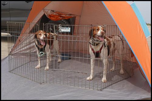 5-22-23 - Beach tent.jpg