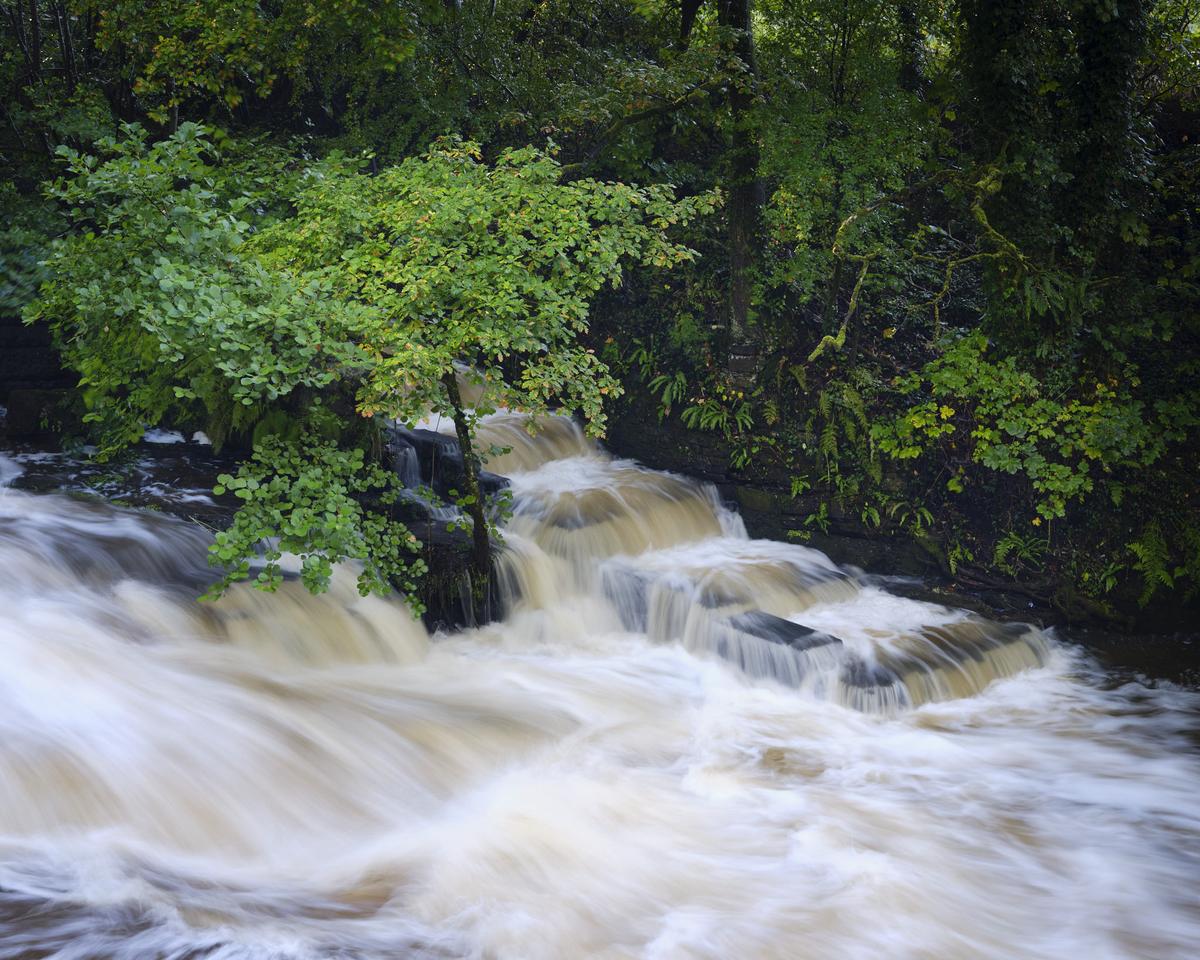 DSCF3454.jpg