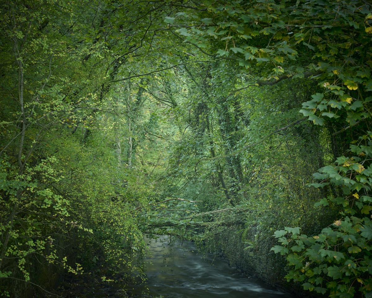 DSC_7619.jpg