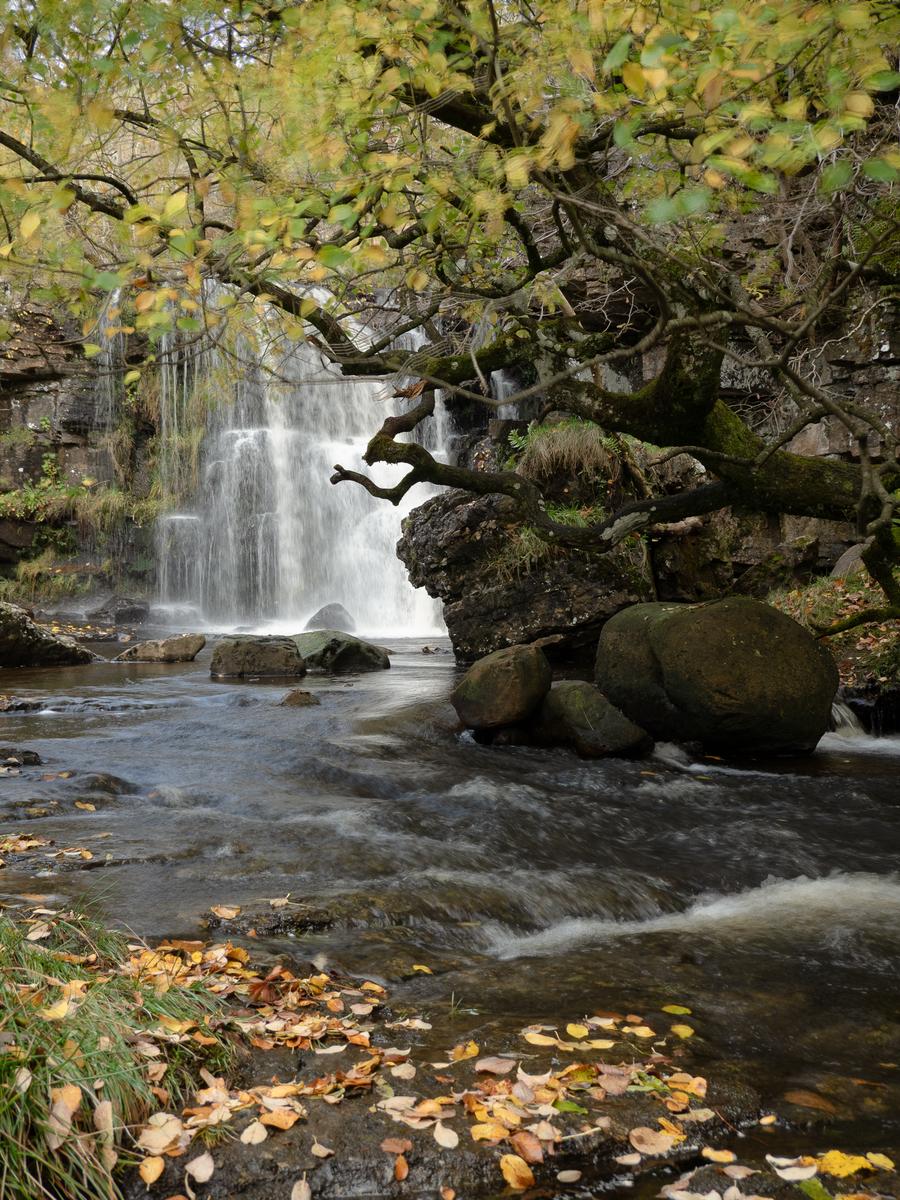 PA225645.4.jpg