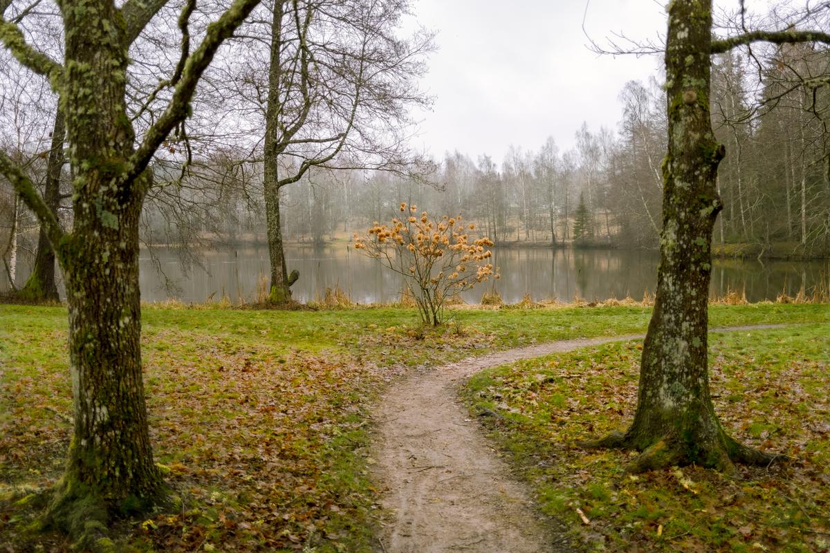 _DSF1493-IridientEdit edit-2.jpg