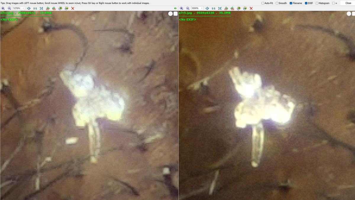 Screenshot 2025-06-26 140836.jpg
