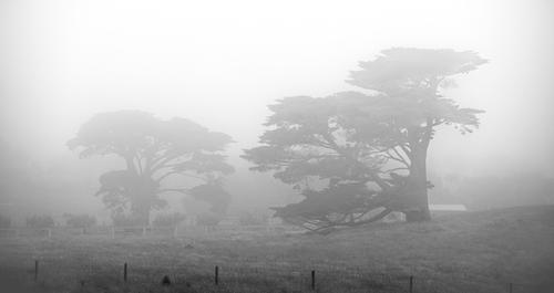 foggy IMG_6899 edited2.JPG