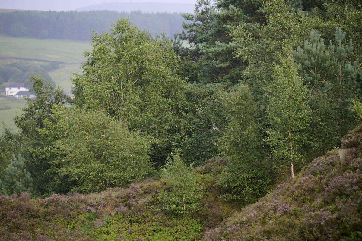 DSC_6149.jpg