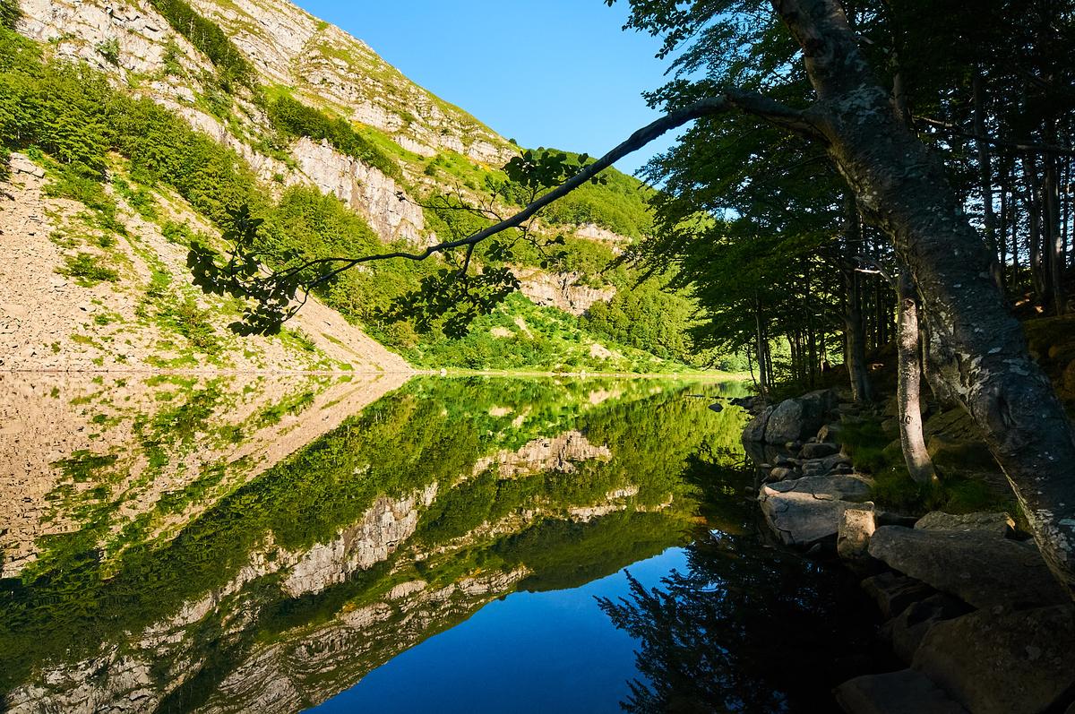 DSC_9556_1.jpg