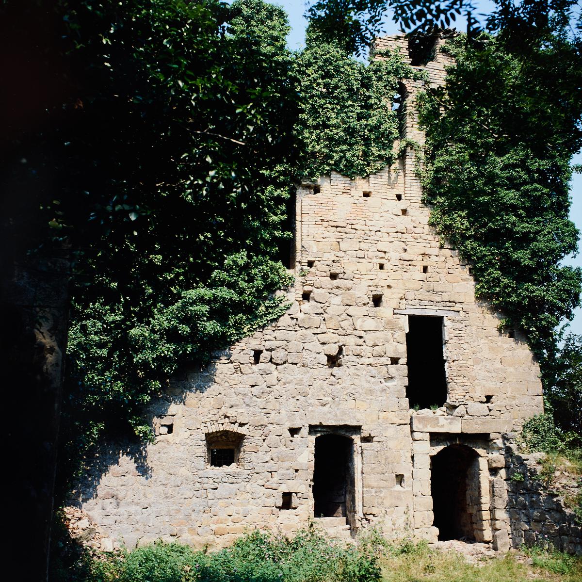 8DS_8940_1.jpg