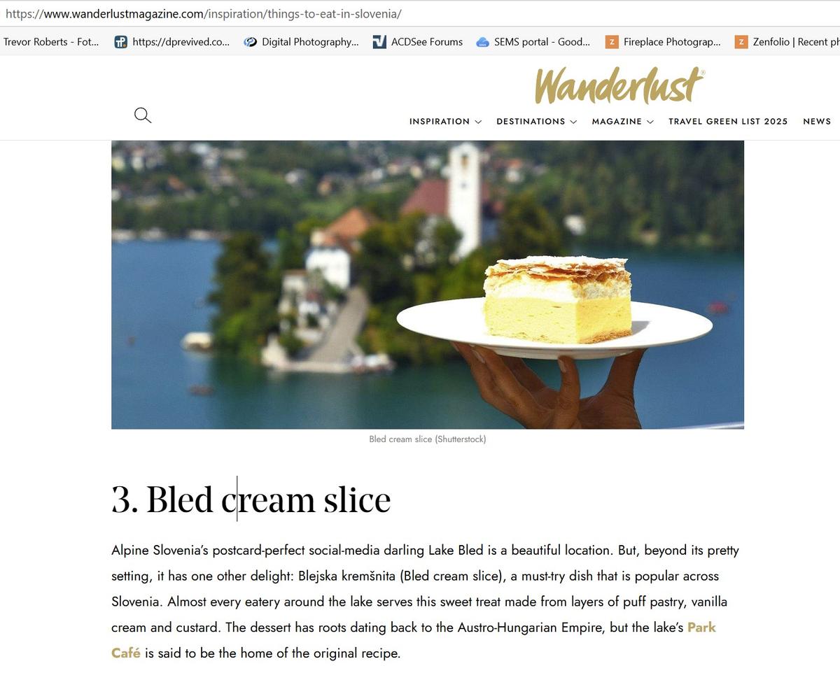 Bled cream slice.jpg