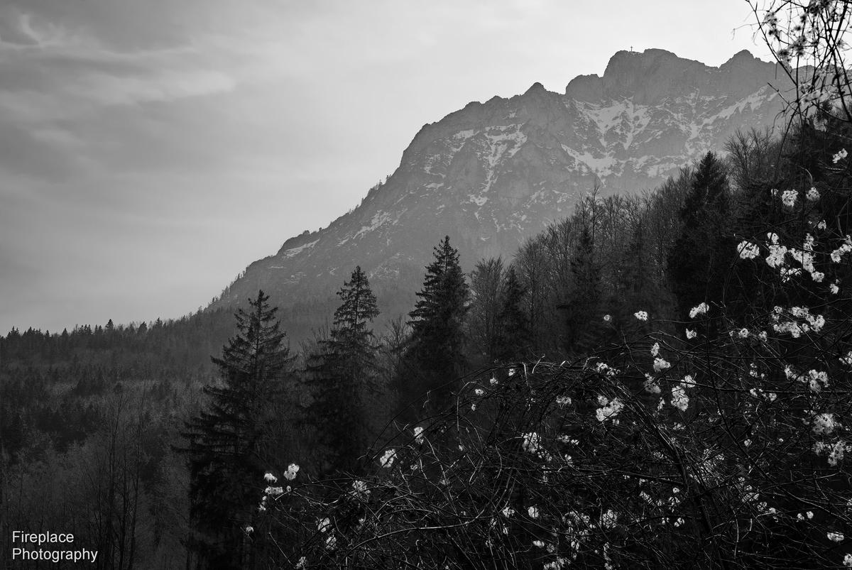 DSC_2604+5 smaller.JPG