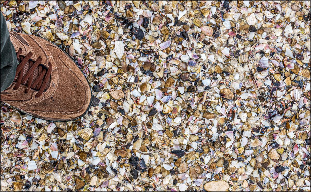 A walk on the beach..jpg