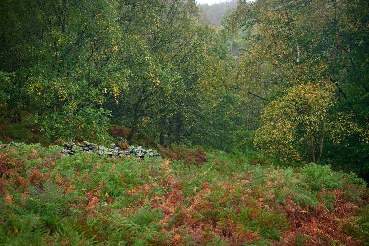 DSC_8442.jpg