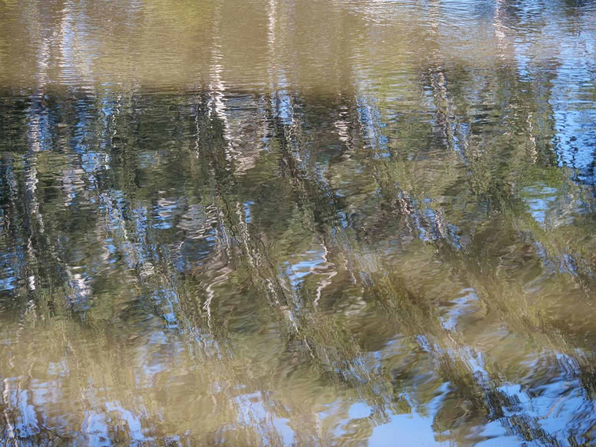 P1335423a.JPG