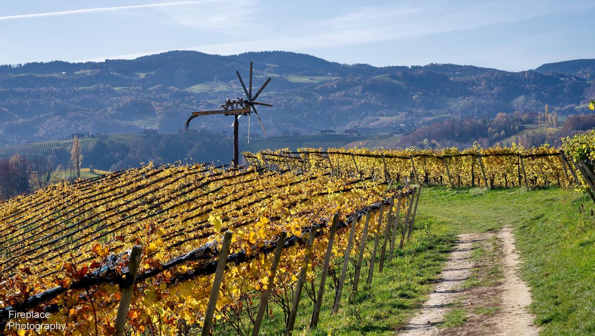 DSC_2571 d smaller.JPG