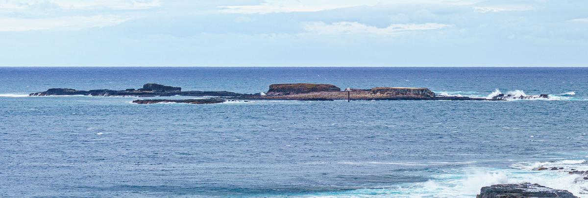 Challenge #57 -1-4.jpg