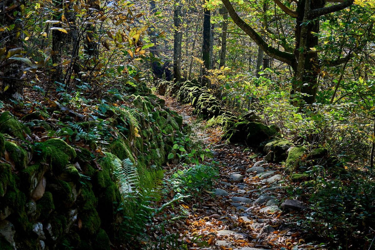 8DS_1526_HDR.jpg