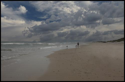 5-22-23 - Nancy and the dogs on a trackless beach.jpg