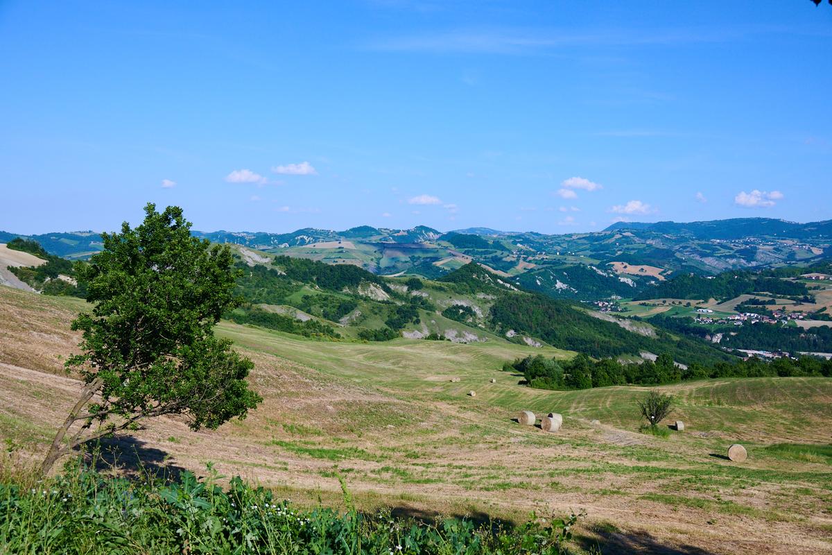 8DS_6558.jpg