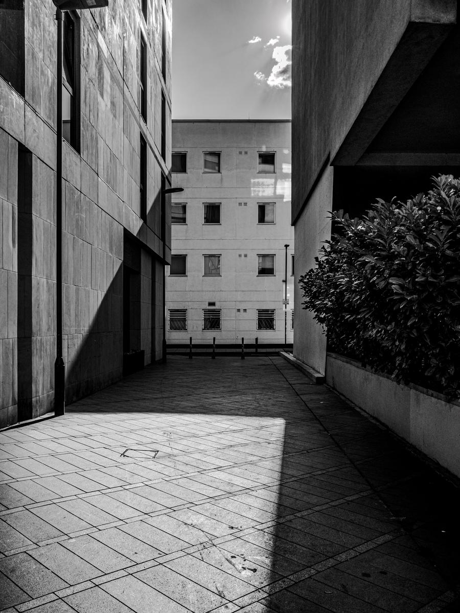 P1106300.jpg