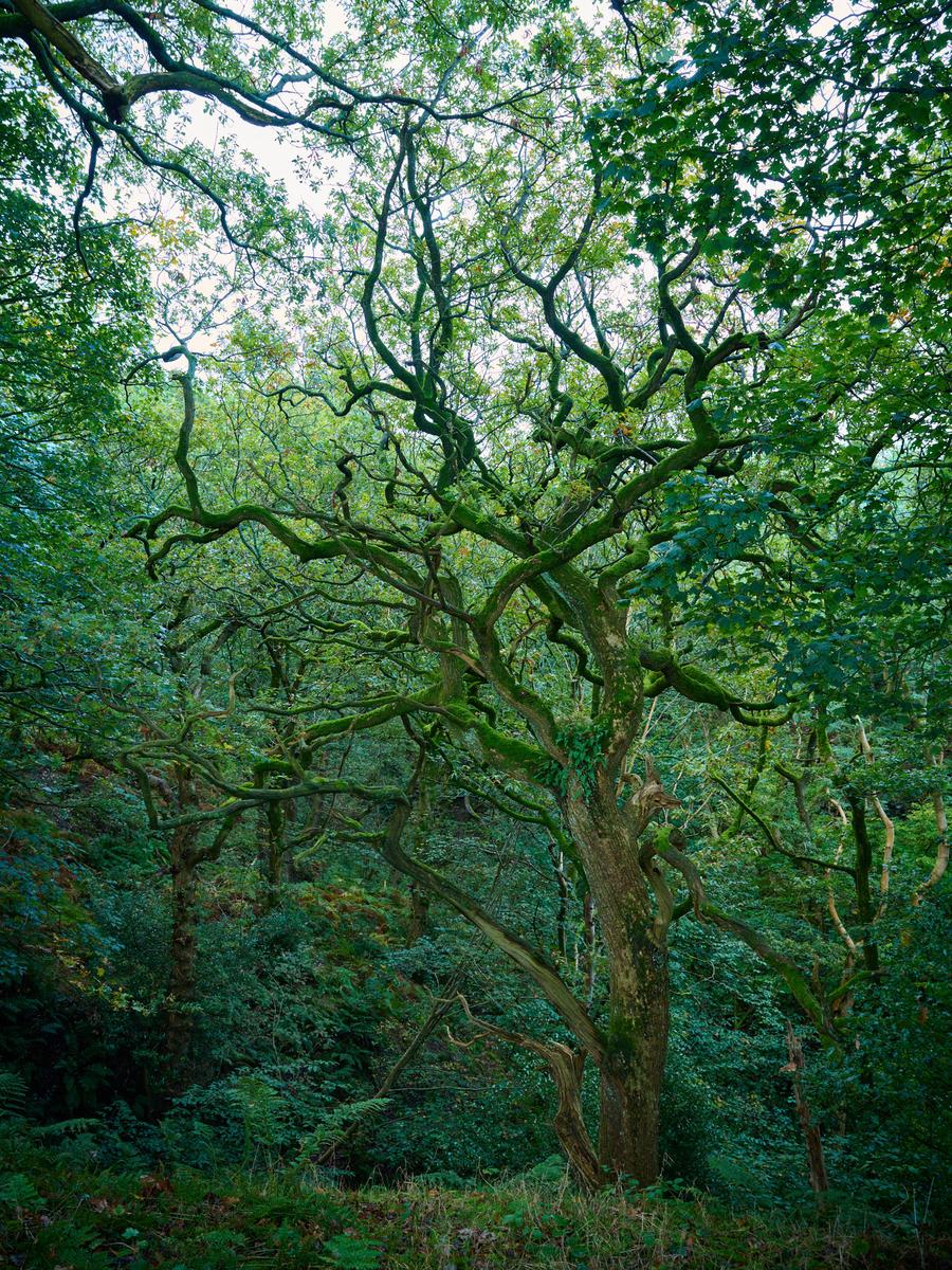 DSC_8539.jpg