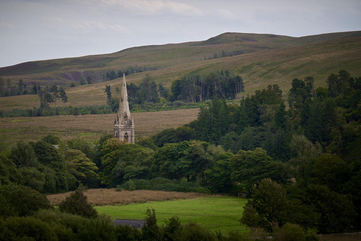 DSC_7316.jpg