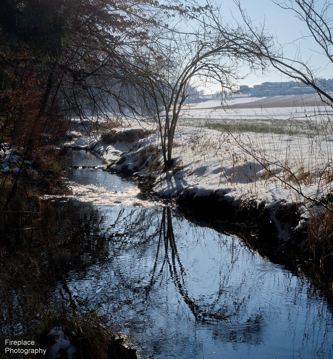 DSC_2484 smaller (2).JPG